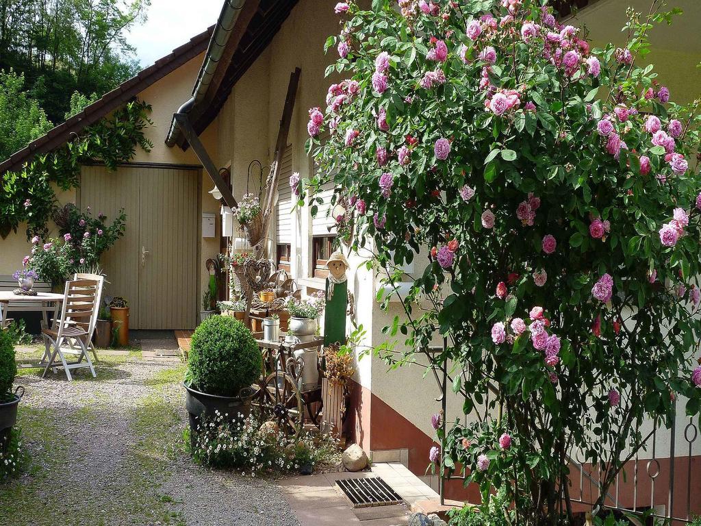 Ferienwohnung Hugelgarten Oppenau Exterior foto